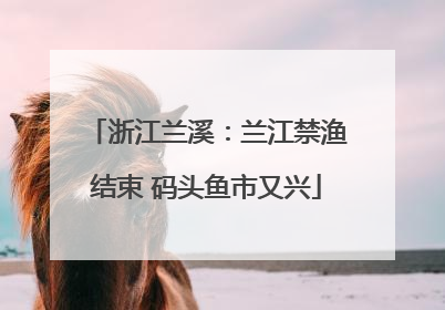 浙江兰溪：兰江禁渔结束 码头鱼市又兴