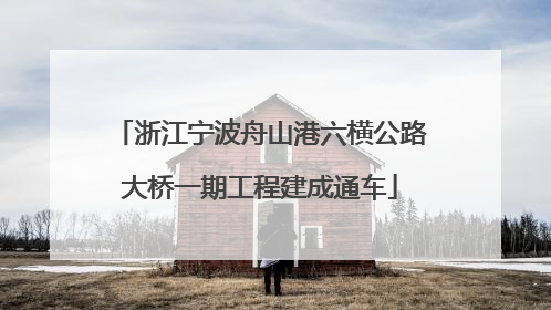 浙江宁波舟山港六横公路大桥一期工程建成通车