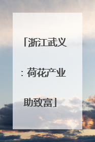 浙江武义：荷花产业助致富