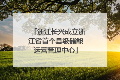 浙江长兴成立浙江省首个县级储能运营管理中心