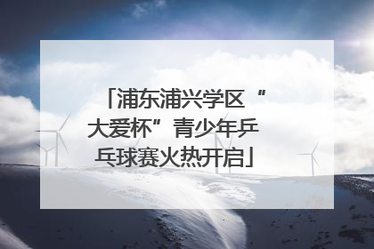 浦东浦兴学区“大爱杯”青少年乒乓球赛火热开启