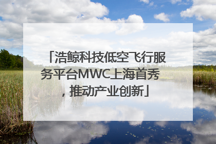 浩鲸科技低空飞行服务平台MWC上海首秀，推动产业创新