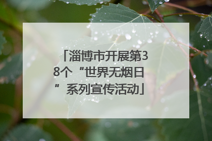 淄博市开展第38个“世界无烟日”系列宣传活动