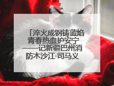 淬火成钢铸蓝焰 青春热血护安宁——记新疆巴州消防木沙江·司马义的逆行人生