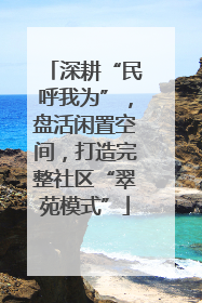 深耕“民呼我为”，盘活闲置空间，打造完整社区“翠苑模式”