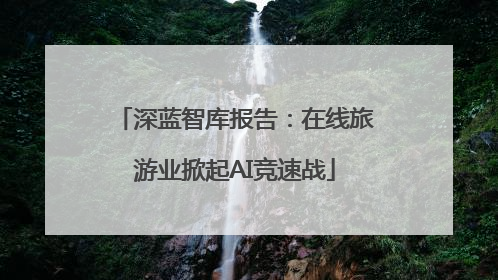 深蓝智库报告：在线旅游业掀起AI竞速战