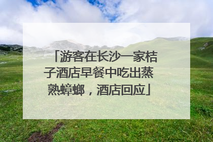 游客在长沙一家桔子酒店早餐中吃出蒸熟蟑螂，酒店回应