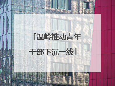 温岭推动青年干部下沉一线
