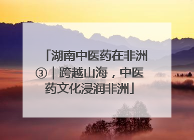 湖南中医药在非洲③｜跨越山海，中医药文化浸润非洲
