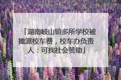 湖南岐山镇多所学校被摊派校车费，校车办负责人：可找社会赞助