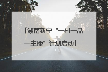 湖南新宁“一村一品一主播”计划启动