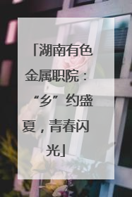 湖南有色金属职院：“乡”约盛夏，青春闪光