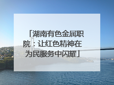 湖南有色金属职院：让红色精神在为民服务中闪耀