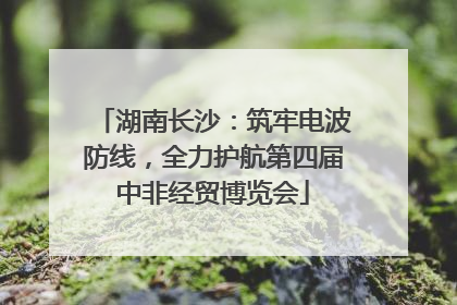 湖南长沙：筑牢电波防线，全力护航第四届中非经贸博览会