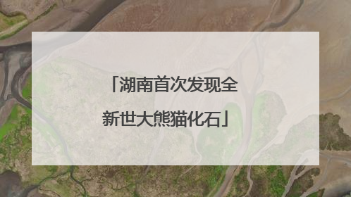 湖南首次发现全新世大熊猫化石