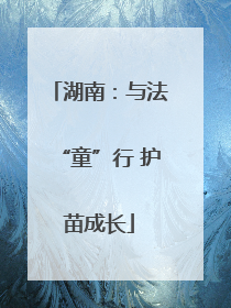 湖南：与法“童”行 护苗成长