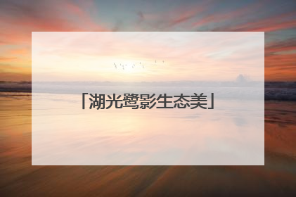 湖光鹭影生态美