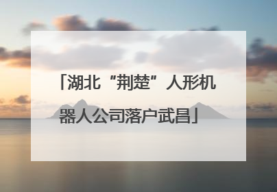 湖北“荆楚”人形机器人公司落户武昌