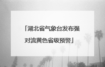 湖北省气象台发布强对流黄色省级预警