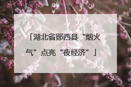 湖北省郧西县“烟火气”点亮“夜经济”