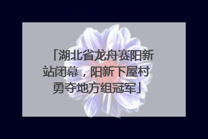 湖北省龙舟赛阳新站闭幕，阳新下屋村勇夺地方组冠军