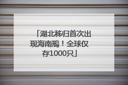 湖北秭归首次出现海南鳽！全球仅存1000只