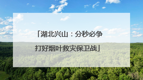 湖北兴山：分秒必争 打好烟叶救灾保卫战