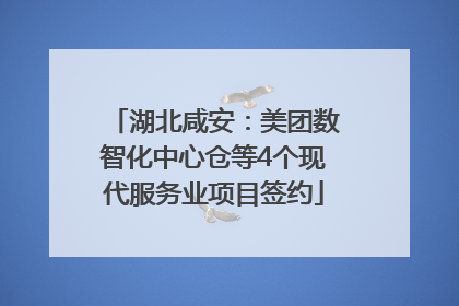 湖北咸安：美团数智化中心仓等4个现代服务业项目签约