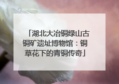 湖北大冶铜绿山古铜矿遗址博物馆：铜草花下的青铜传奇