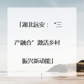 湖北远安：“三产融合”激活乡村振兴新动能