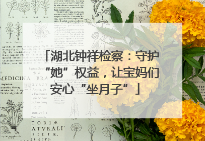 湖北钟祥检察：守护“她”权益，让宝妈们安心“坐月子”