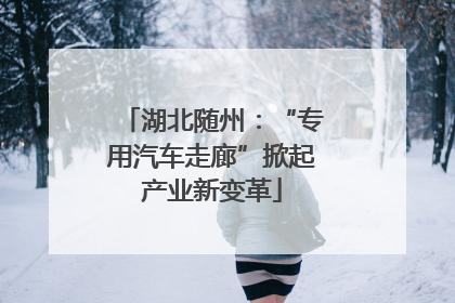湖北随州：“专用汽车走廊”掀起产业新变革