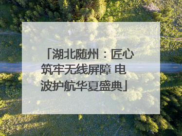 湖北随州：匠心筑牢无线屏障 电波护航华夏盛典