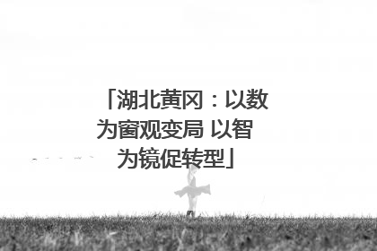 湖北黄冈：以数为窗观变局 以智为镜促转型