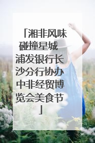 湘非风味碰撞星城 浦发银行长沙分行协办中非经贸博览会美食节
