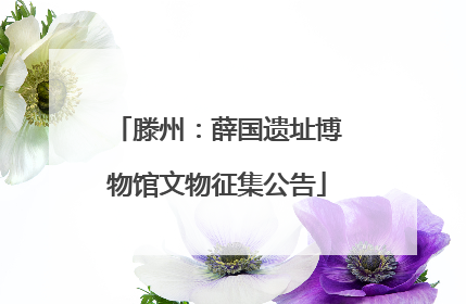 滕州：薛国遗址博物馆文物征集公告