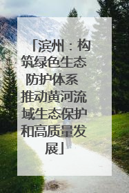 滨州：构筑绿色生态防护体系 推动黄河流域生态保护和高质量发展