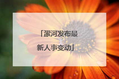 漯河发布最新人事变动