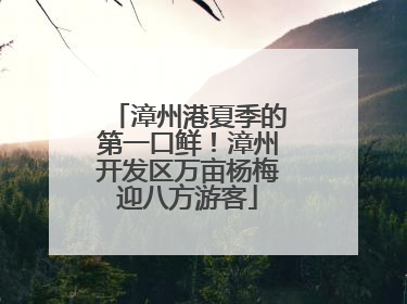 漳州港夏季的第一口鲜！漳州开发区万亩杨梅迎八方游客