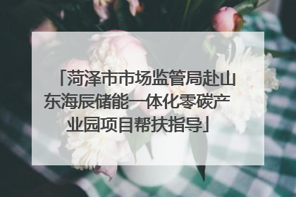 菏泽市市场监管局赴山东海辰储能一体化零碳产业园项目帮扶指导