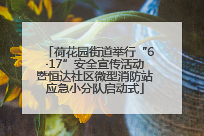 荷花园街道举行“6·17”安全宣传活动暨恒达社区微型消防站应急小分队启动式