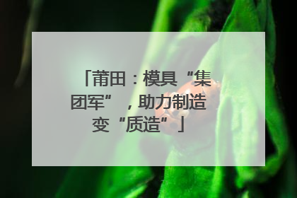 莆田：模具“集团军”，助力制造变“质造”