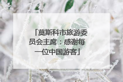 莫斯科市旅游委员会主席：感谢每一位中国游客
