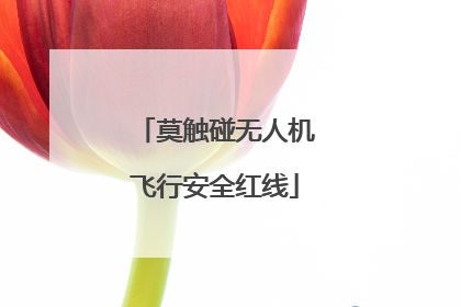 莫触碰无人机飞行安全红线