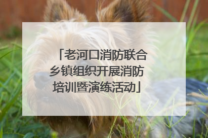 老河口消防联合乡镇组织开展消防培训暨演练活动