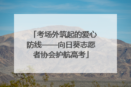 考场外筑起的爱心防线——向日葵志愿者协会护航高考
