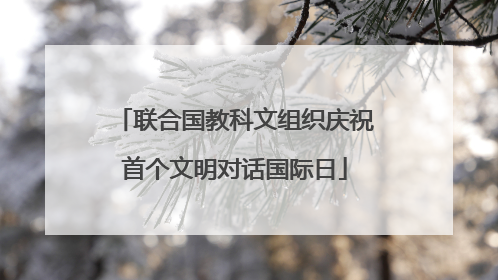 联合国教科文组织庆祝首个文明对话国际日