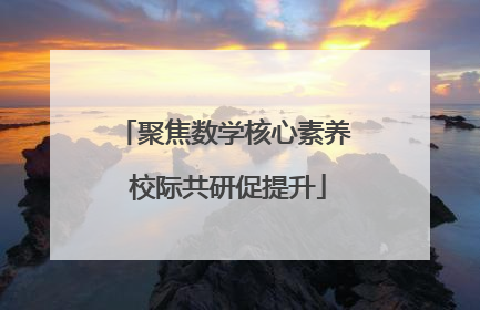 聚焦数学核心素养 校际共研促提升
