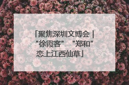 聚焦深圳文博会｜“徐霞客”“郑和”恋上江西仙草