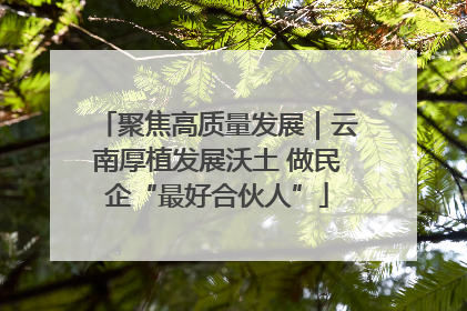 聚焦高质量发展｜云南厚植发展沃土 做民企“最好合伙人”
